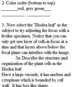 Virtual Microscope Lab